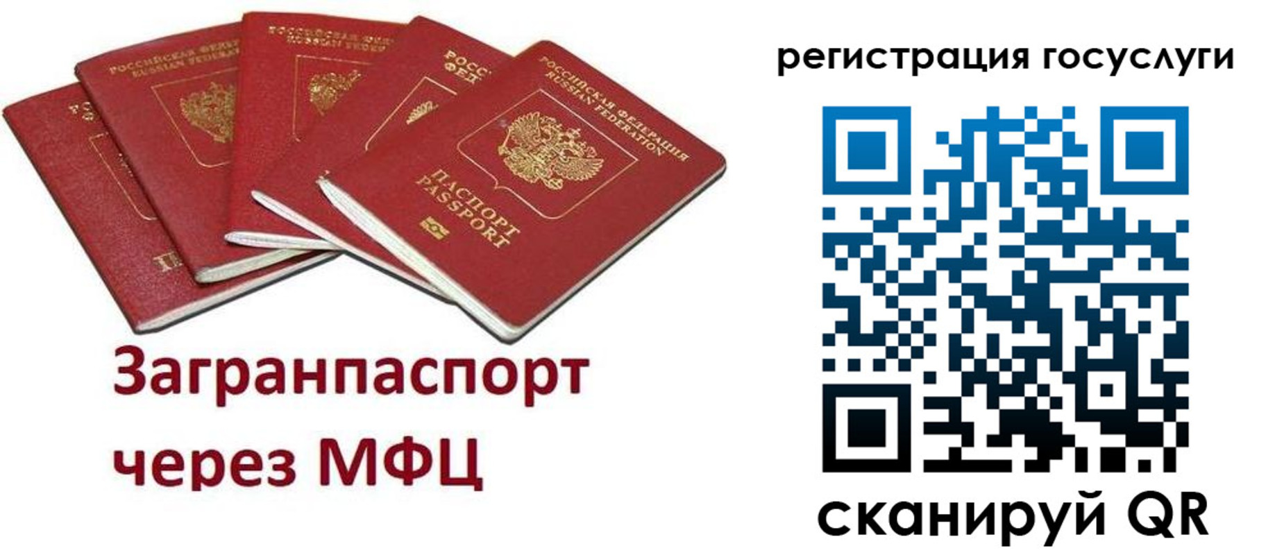 прописка 2025 в Стародубе